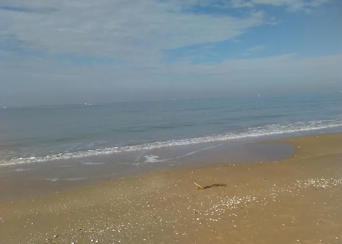 Honfleur-loft Appartement Honfleur